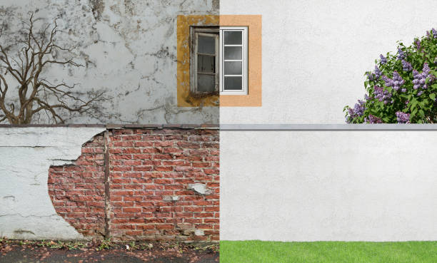 Best Real Estate Mold Inspection  in Garden Grove, CA